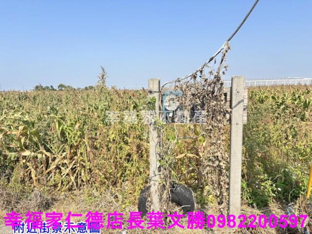 台南佳里農地-15