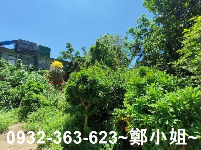 桃園龍潭農地-11