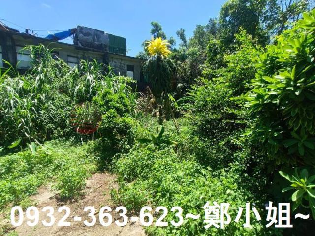 桃園龍潭農地-1