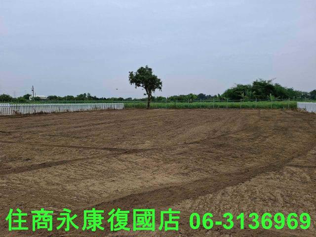 善化農地-1