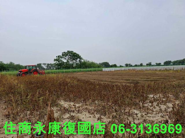 善化農地-4