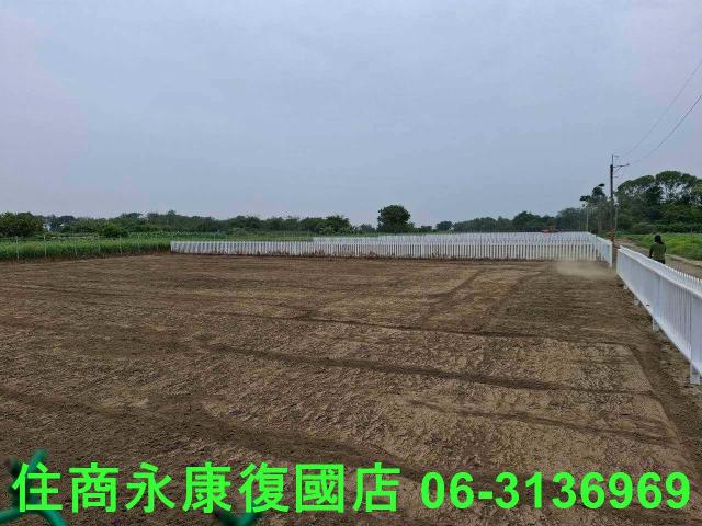 善化農地-10