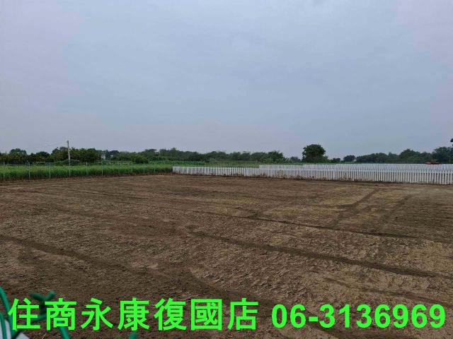 善化農地-11