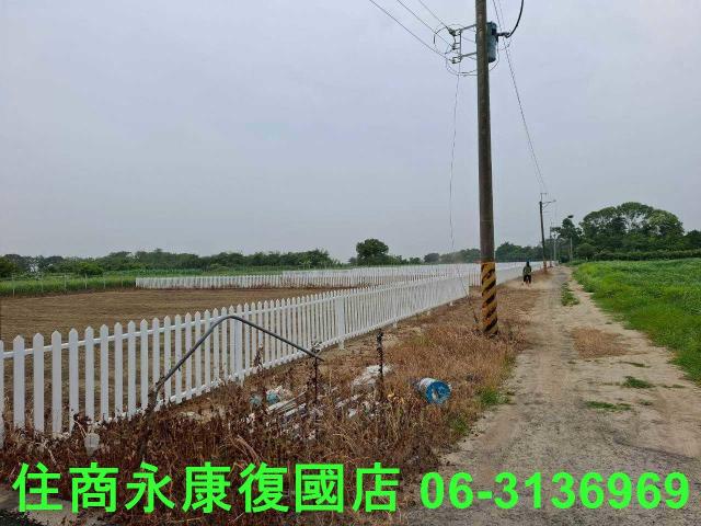善化農地-8