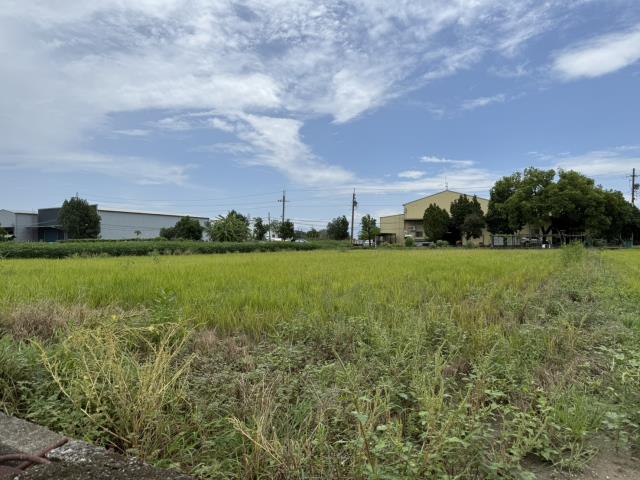 大寮農地-1