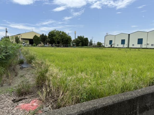 大寮農地-2