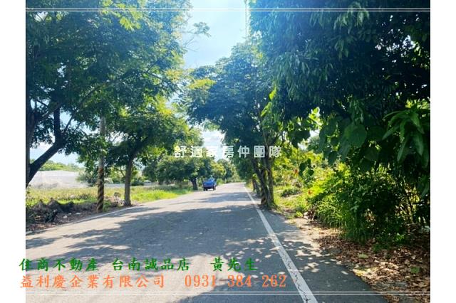 591黃培倫591