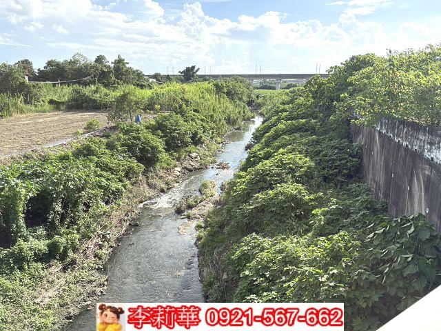 善化農地-11