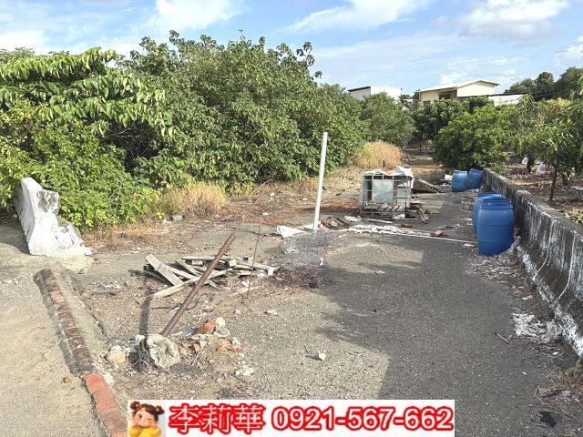 善化農地-6