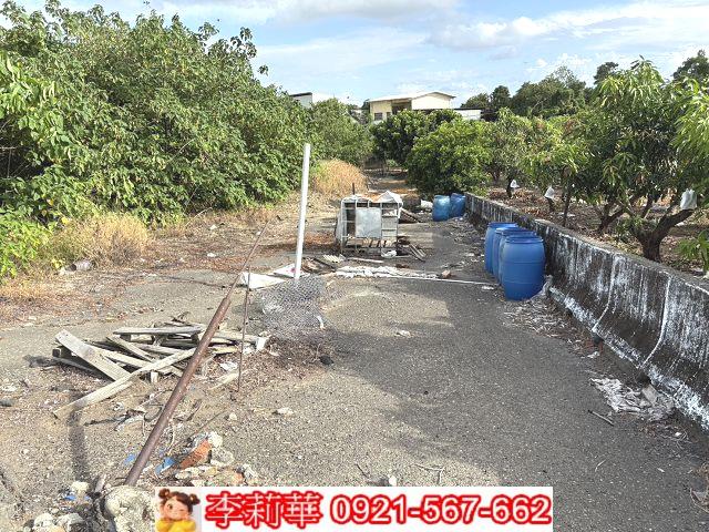 善化農地-7