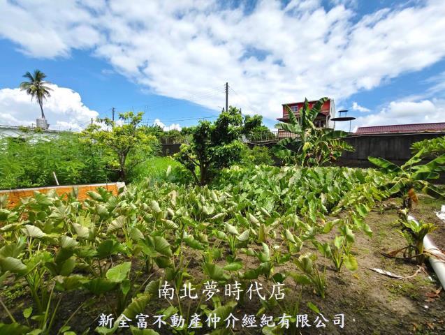 左鎮農地-6