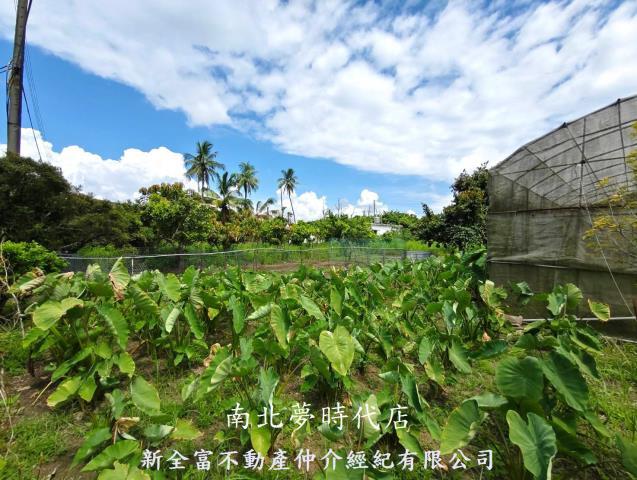 左鎮農地-7