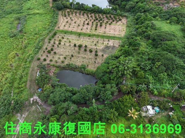 台南大內農地-1