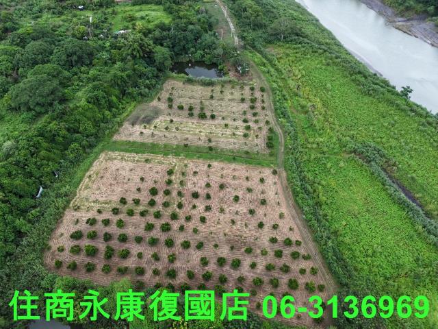 台南大內農地-2