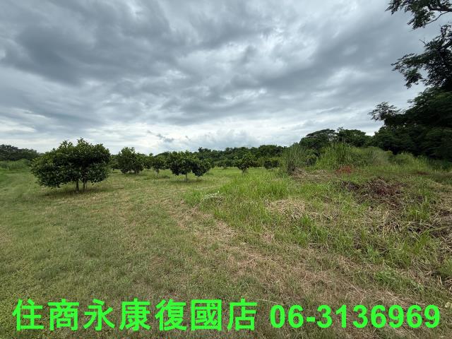 台南大內農地-3