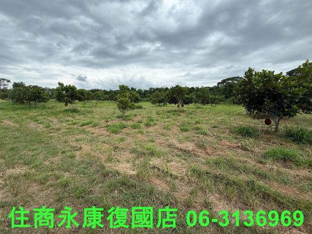 台南大內農地-5