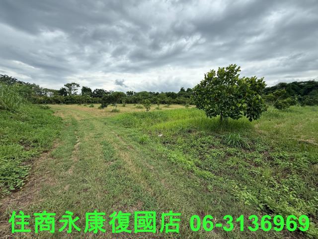 台南大內農地-6