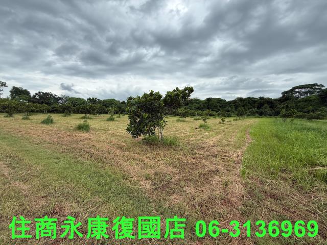 台南大內農地-7