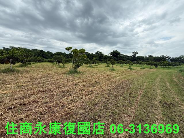 台南大內農地-8