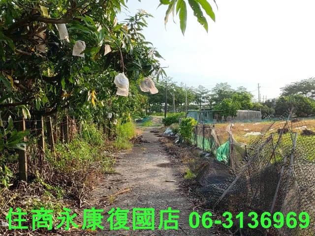 台南新化農地-12
