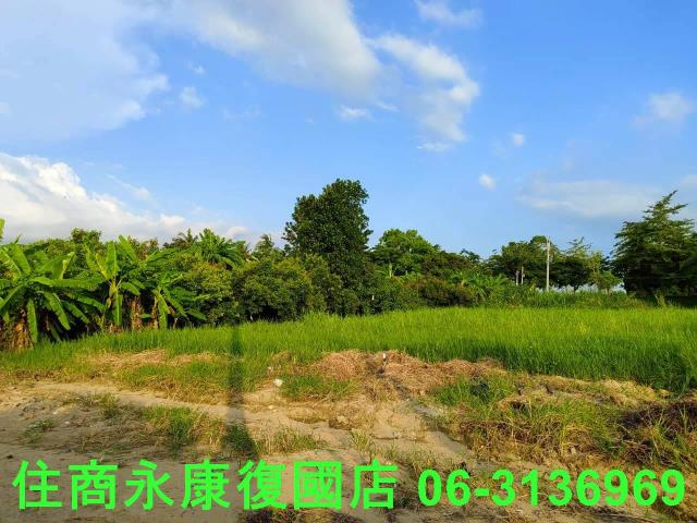 台南新化農地-14
