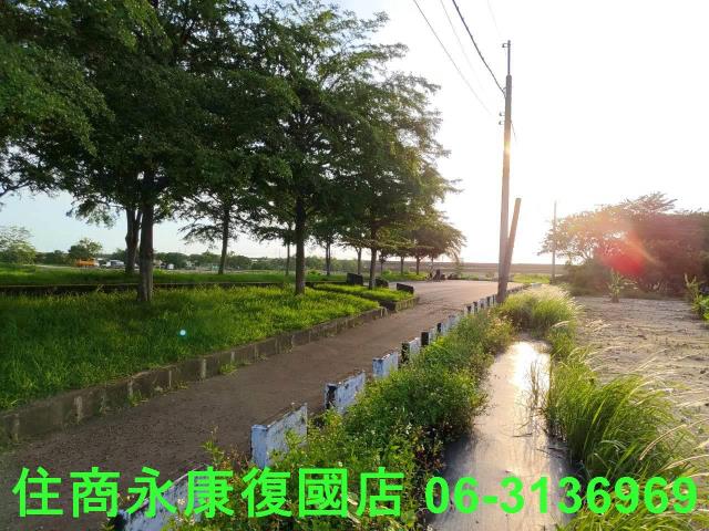台南新化農地-15