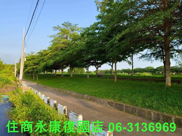 台南新化農地-2