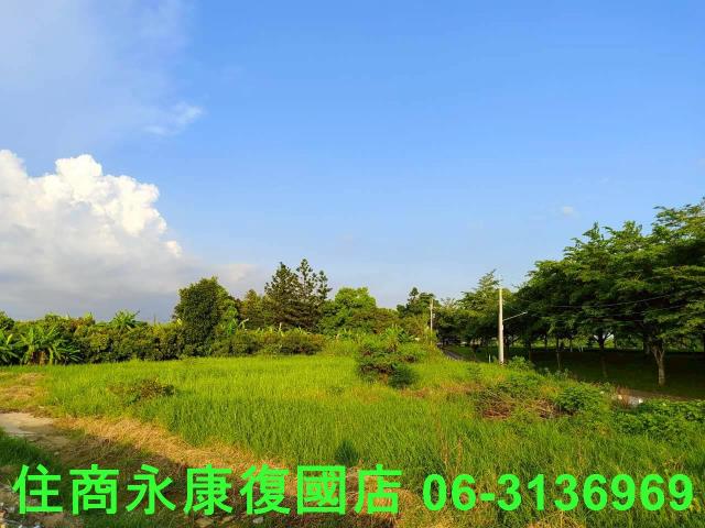 台南新化農地-3