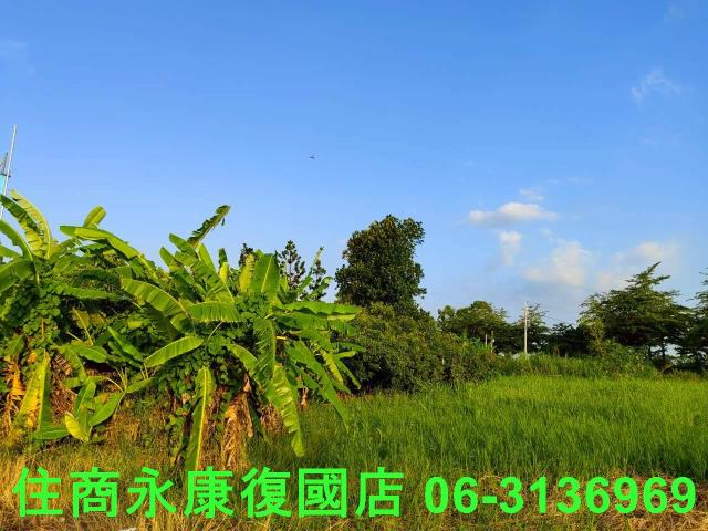 台南新化農地-4
