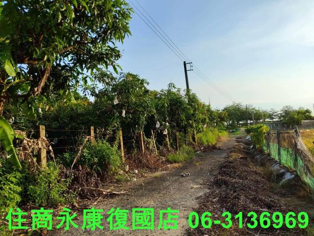 台南新化農地-5