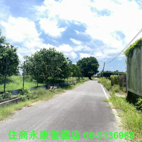 台南麻豆農地-4