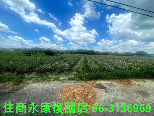 台南山上農地-2