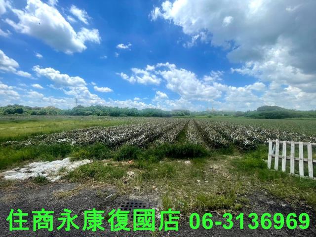 台南山上農地-6