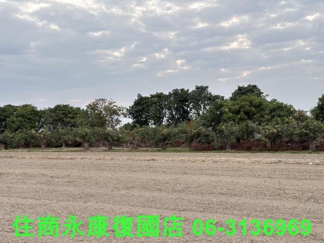 台南歸仁農地-8