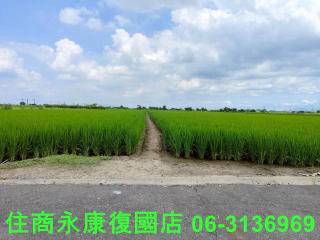 台南六甲農地-10