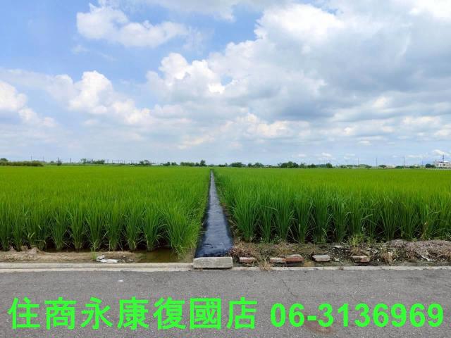 台南六甲農地-13