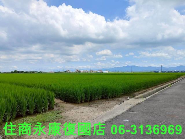台南六甲農地-6