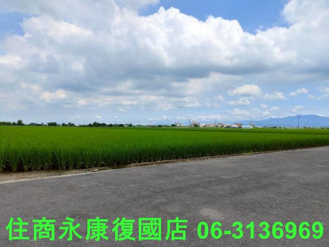 台南六甲農地-7