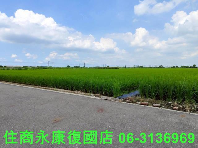 台南六甲農地-9
