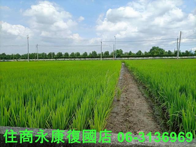 台南六甲農地-1