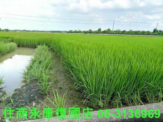 台南六甲農地-3