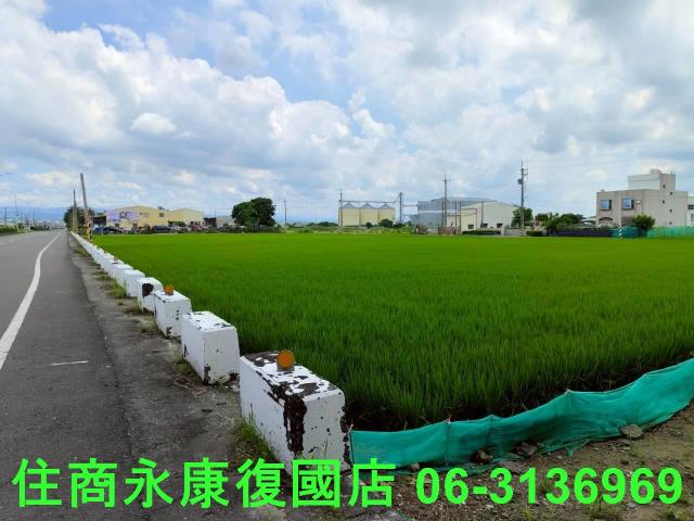 台南六甲農地-7