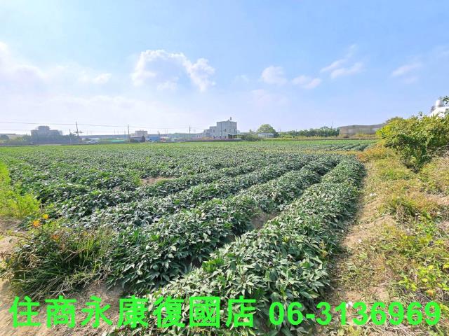 台南新化農地-5