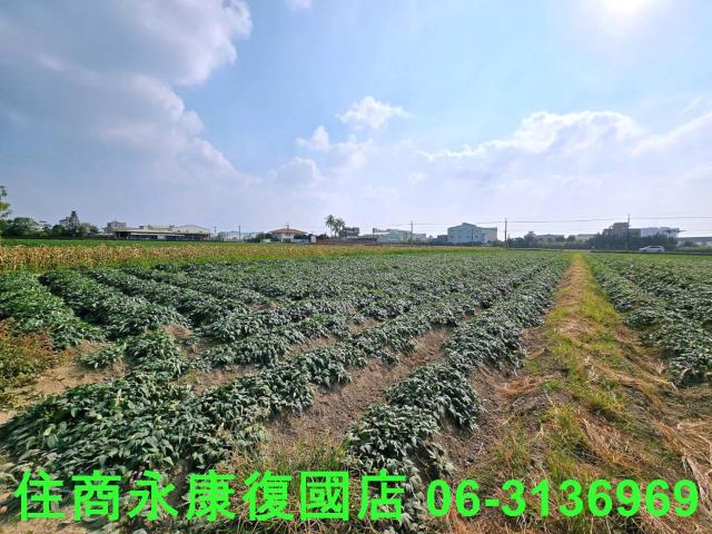 台南新化農地-6