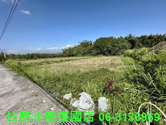 台南左鎮農地-3