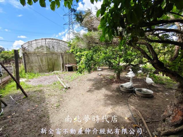 左鎮農地-14
