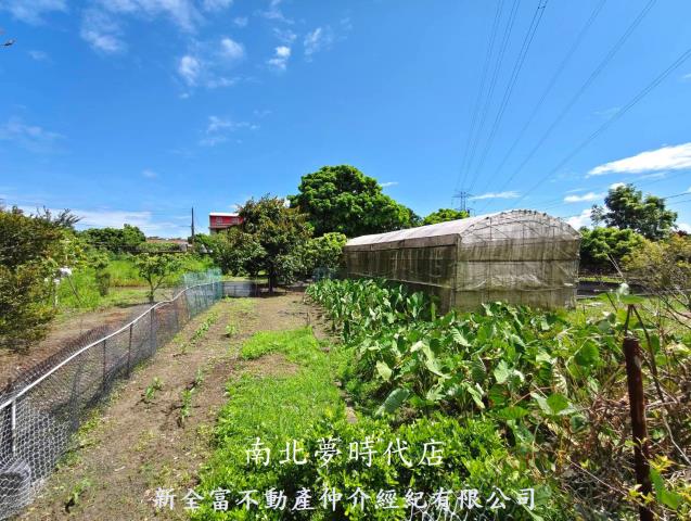 左鎮農地-5