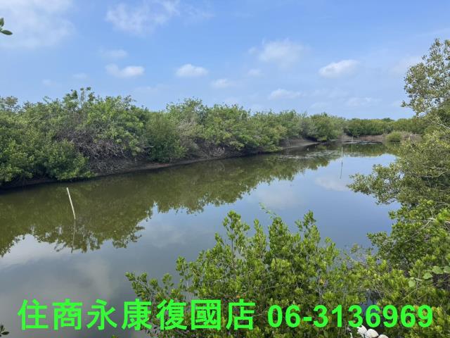 安南農地-5