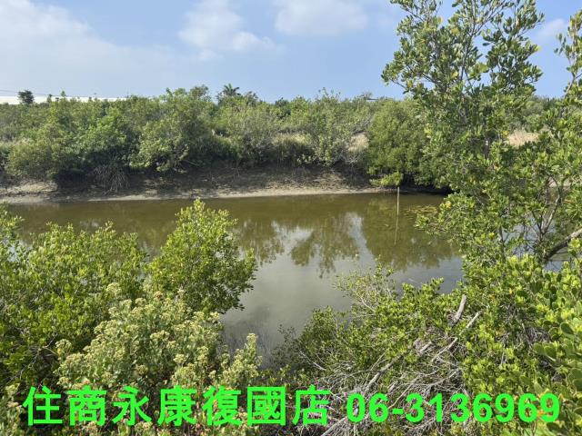 安南農地-6