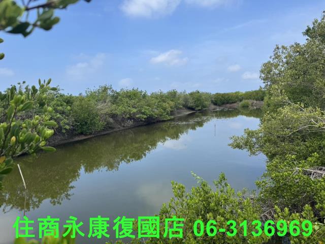 安南農地-7